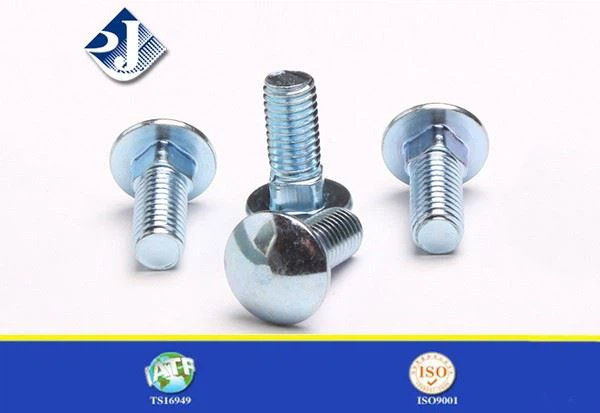 Carriage Bolts